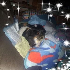 Meet your Posher, Bethany